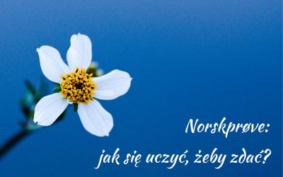 Norskprøve: Jak się uczyć, żeby zdać? Cz. 10