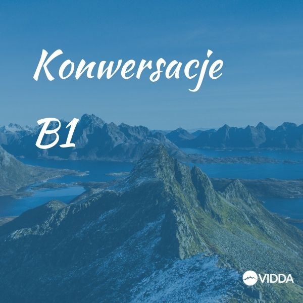 Kurs konwersacyjny B1