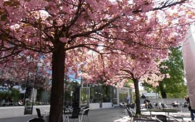 Uczymy się norweskiego